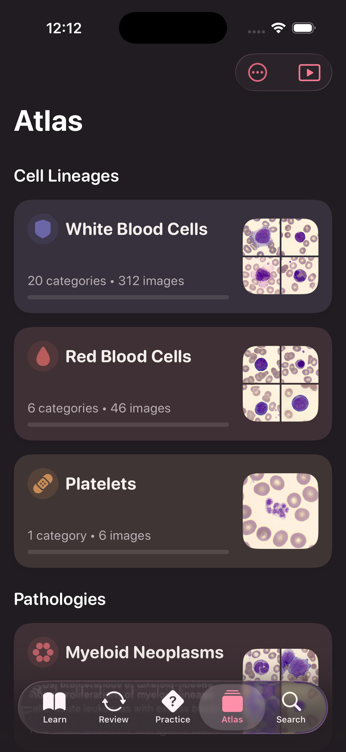 ViviCell Atlas screen: a blood cell category with recognition features and a representative photomicrograph